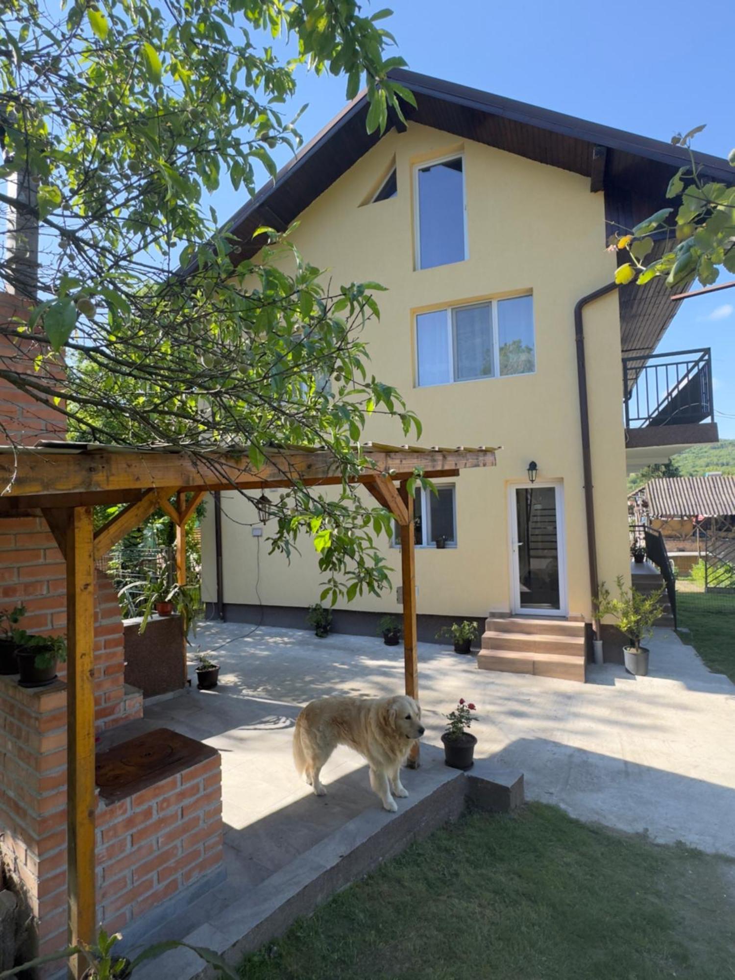 Casa Lucia Hotell Ocnele Mari Exteriör bild